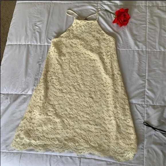 NBD Revolve Bria lace dress in ivory - Picture 4 of 8